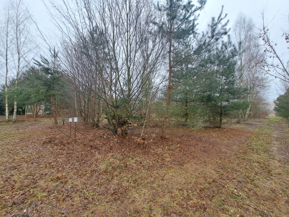 Działka z Warunkami Zabudowy.